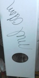 gene bl white box